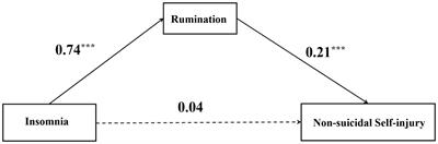 The mediating role of rumination in the relationship between insomnia and non-suicidal self-injury of college students